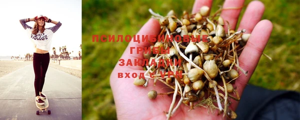 бошки Алзамай